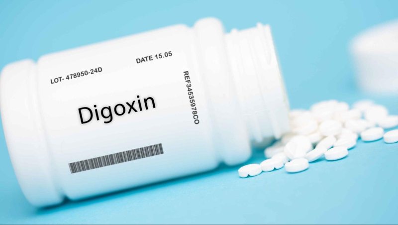 thuốc digoxin chữa bệnh tim mạch