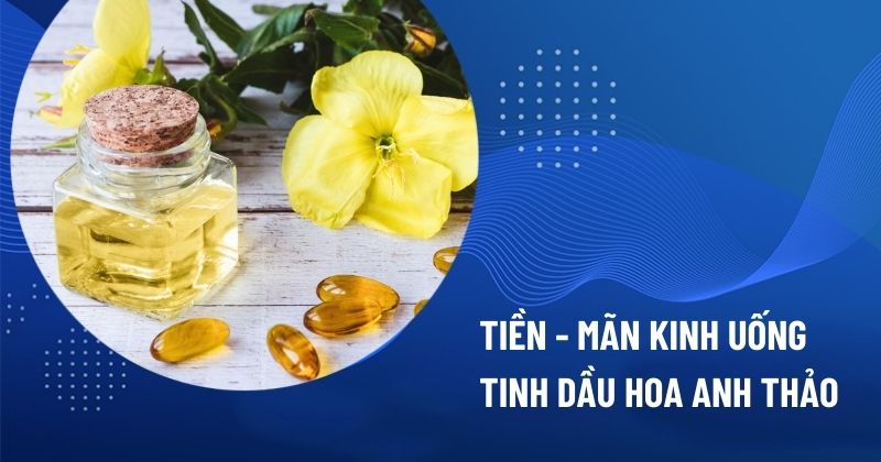 tiền mãn kinh uống tinh dầu hoa anh thảo