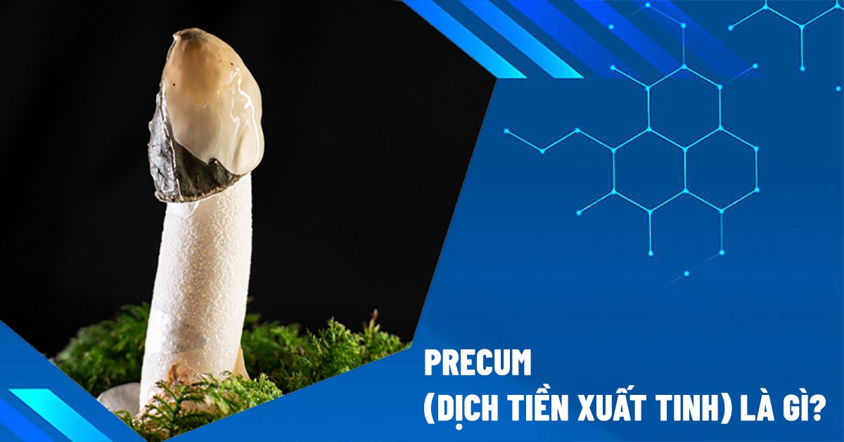 precum - dịch tiền xuất tinh