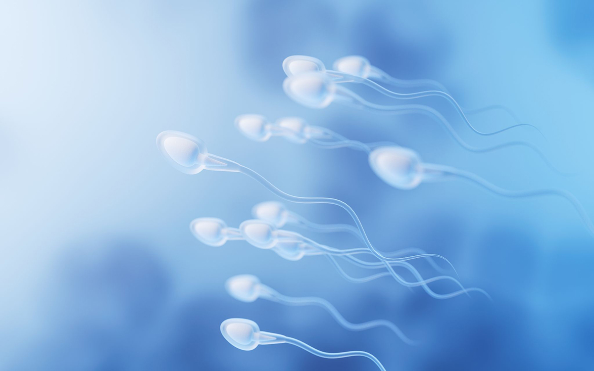 vitamin e giúp bảo vệ tinh trùng