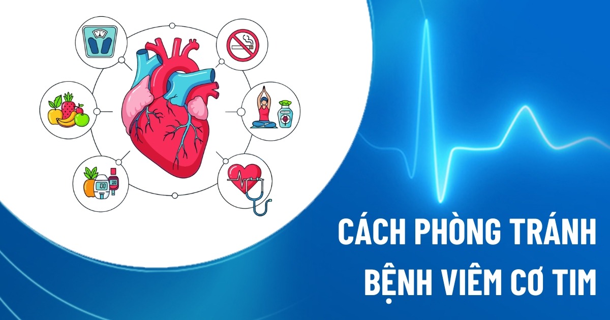 cách phòng ngừa bệnh viêm cơ tim