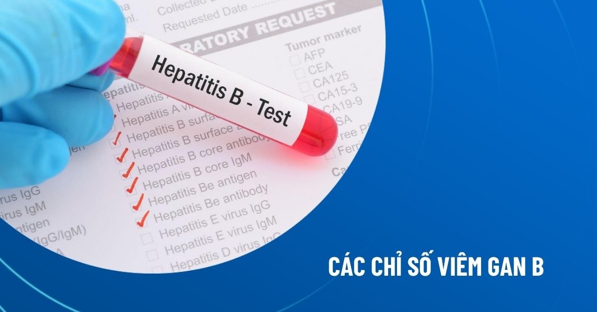 các chỉ số viêm gan B