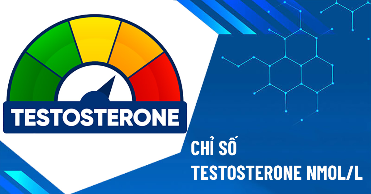 chỉ số testosterone nmol/l
