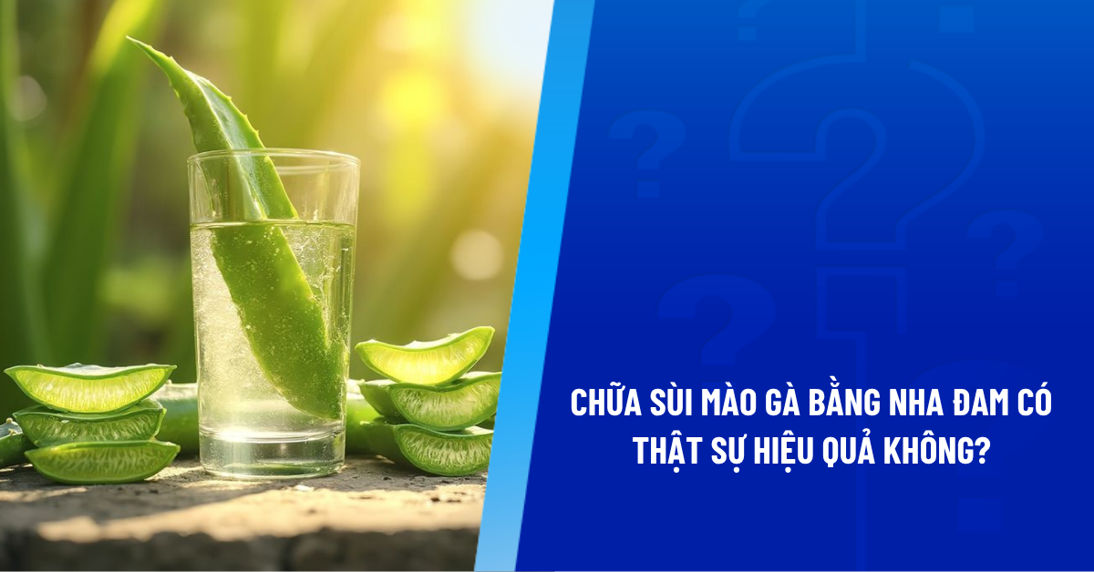chữa sùi mào gà bằng nha đam