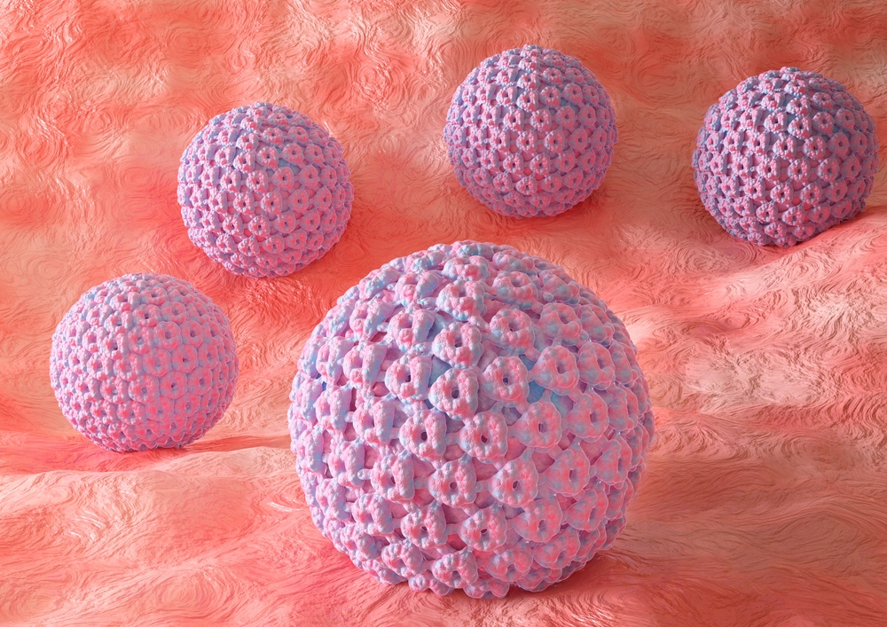 minh họa virus hpv