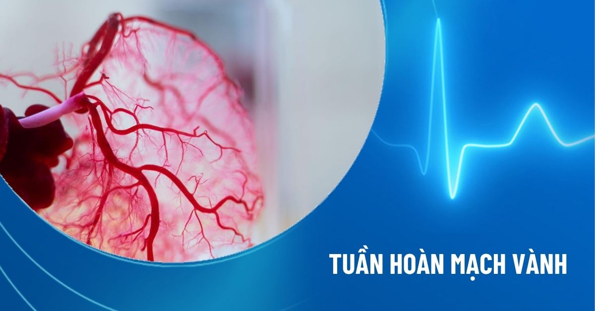 tuần hoàn mạch vành