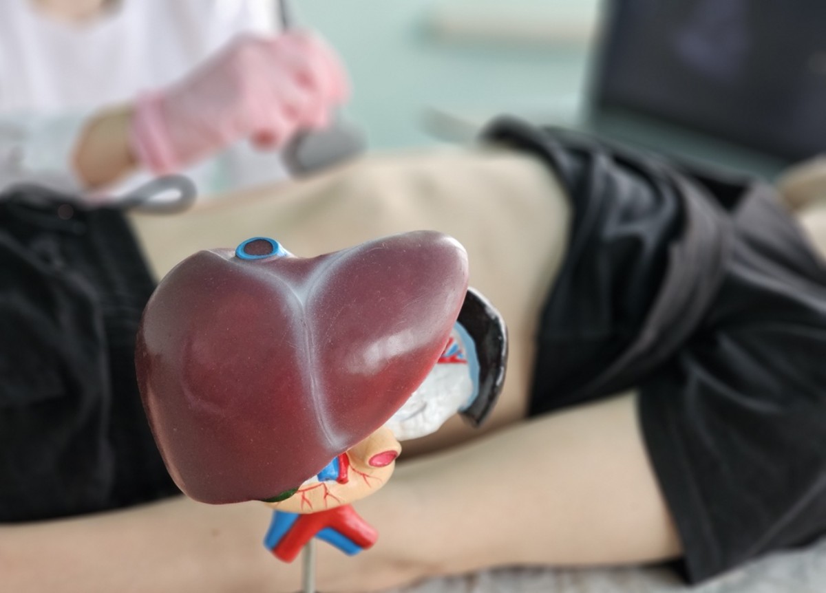 mô hình gan ở người