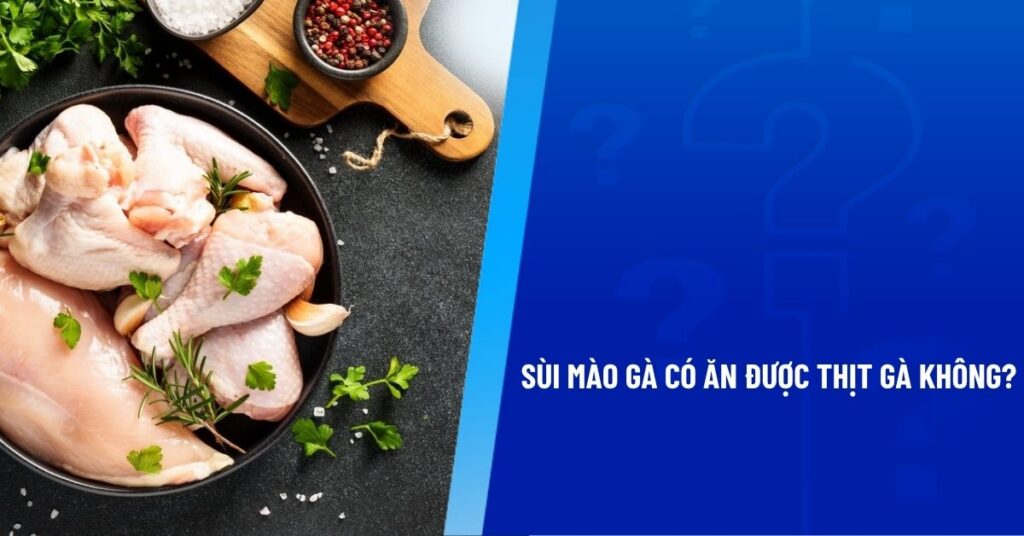 sùi mào gà có ăn được thịt gà không