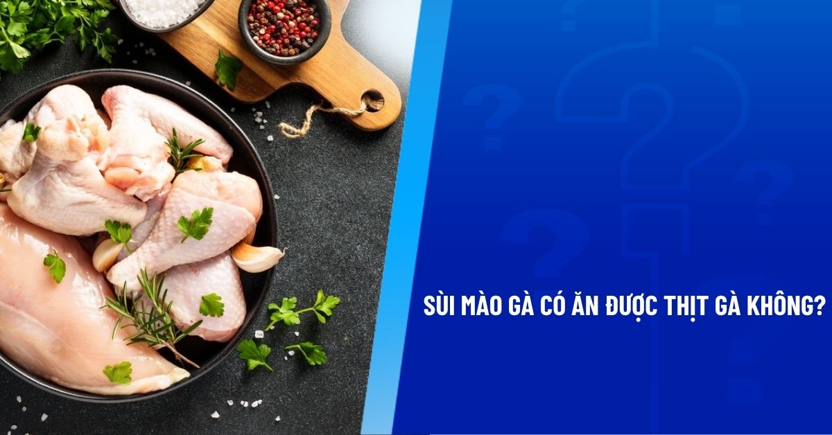 sùi mào gà có ăn được thịt gà không